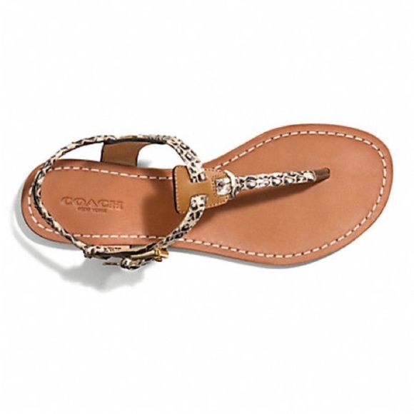 Coach Shoes - Coach Tan and Brown Snakeskin T-Strap Sandals with Gold Hardware